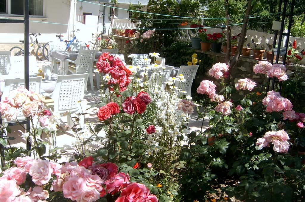 Egirdir Sehsuvar Peace Pension מראה חיצוני תמונה
